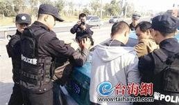 偷南瓜最新爆料新闻事件,真相揭秘，嫌疑人落网